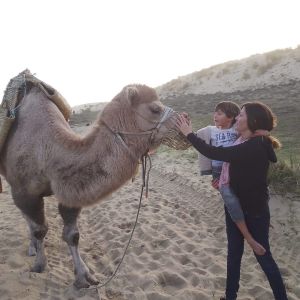 Projet Camel'Idées de l'Atlantique - Bénévoles