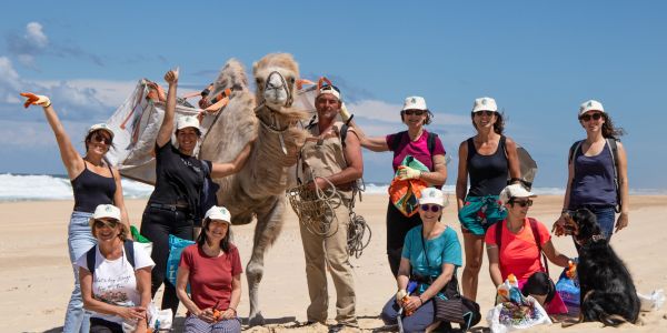 séminaire éco-responsable dans les Landes : clean walk sur les plages, en équipe avec des dromadaires