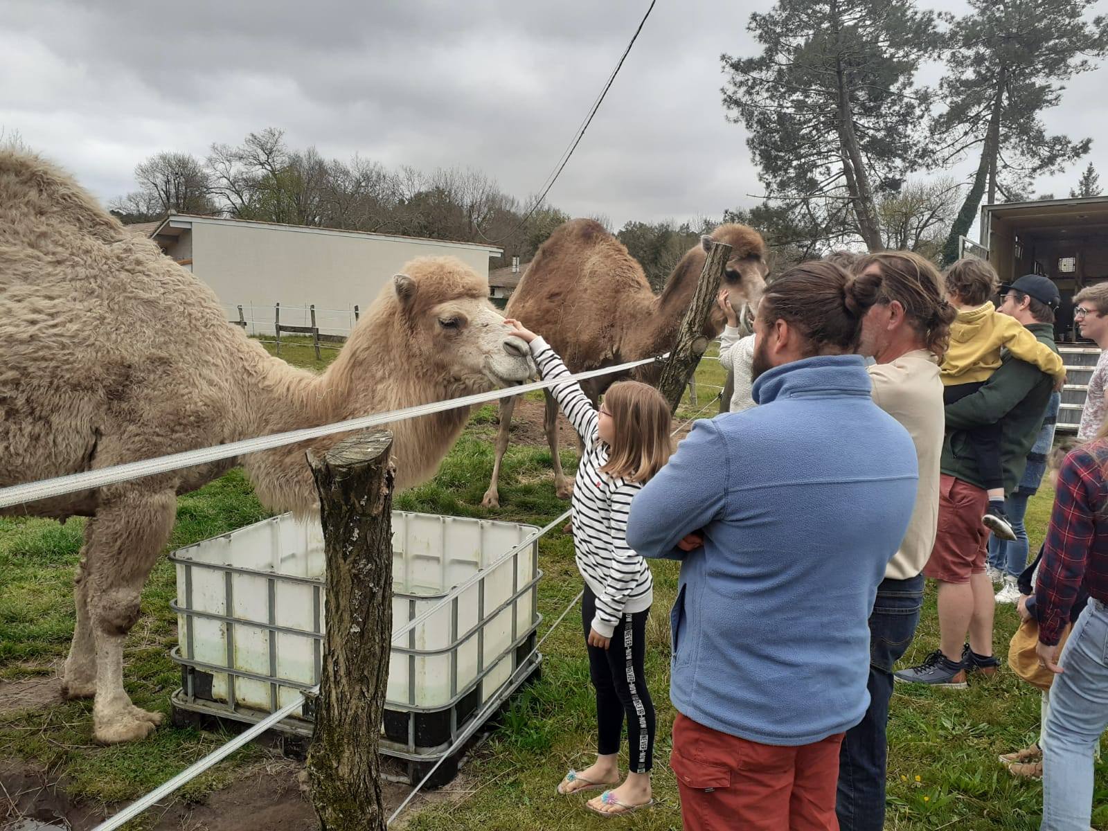 Mario et Dino, de la ferme écologique Camel'idées de l'Atlantique